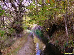 Acequia Real de Cástaras (Paco Martín, 2009