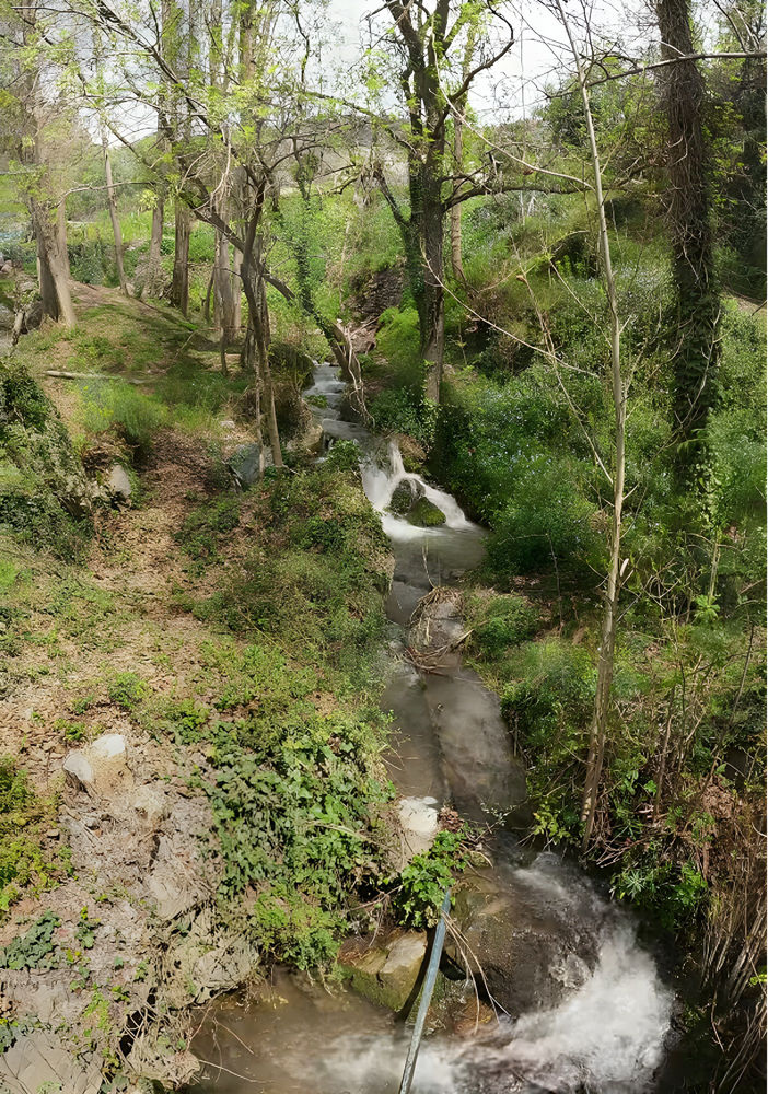 El barranco de la Alberquilla a su paso por la Fuente Baja.