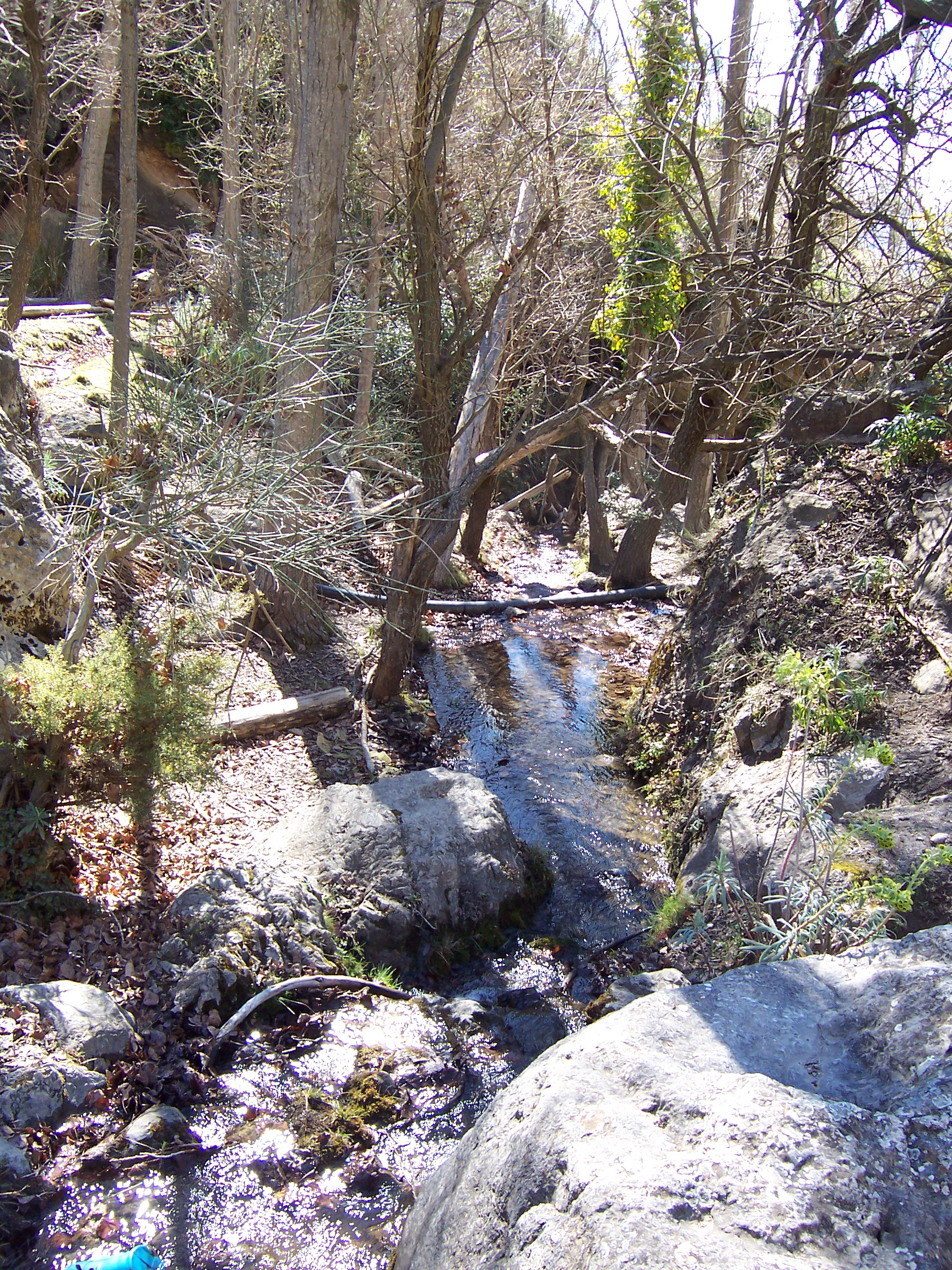 Primera vista del Barranco de la Fuente Solís, mostrando su escarpado perfil.