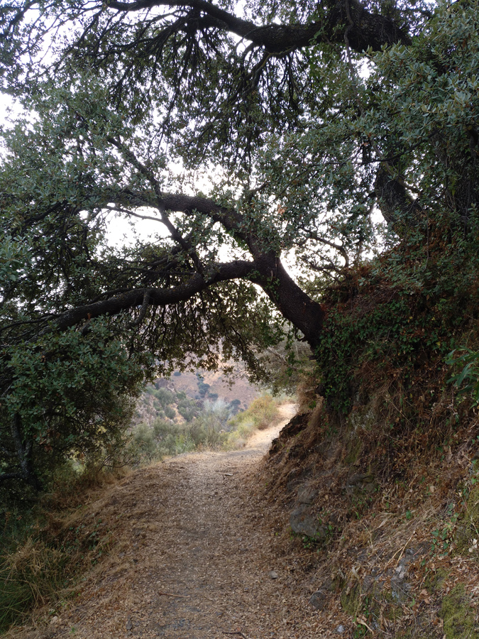 Camino del cementerio de Cástaras.
