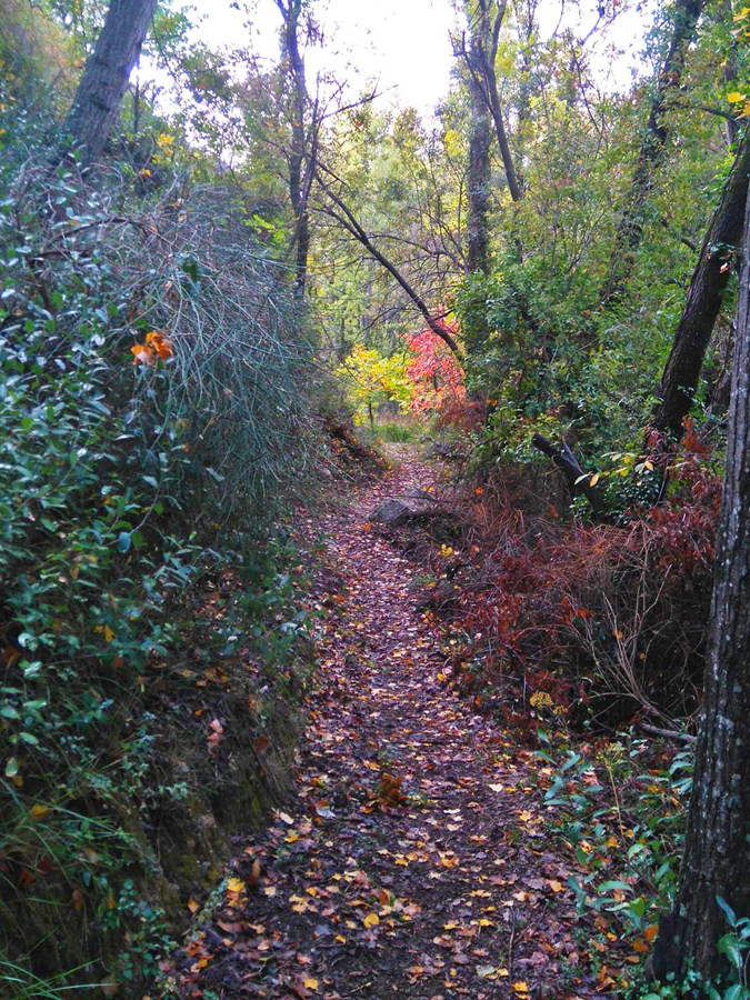 Camino de Nótáez a Busquístar, con baño y cementerio.