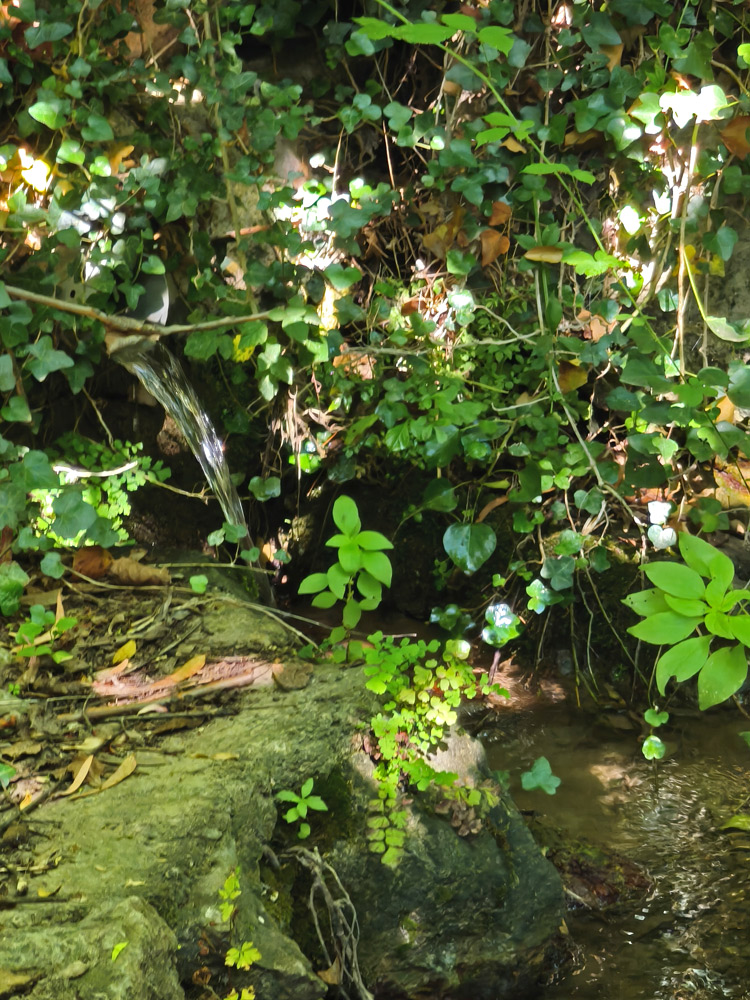 Nacimiento de la Fuente de la Teja.