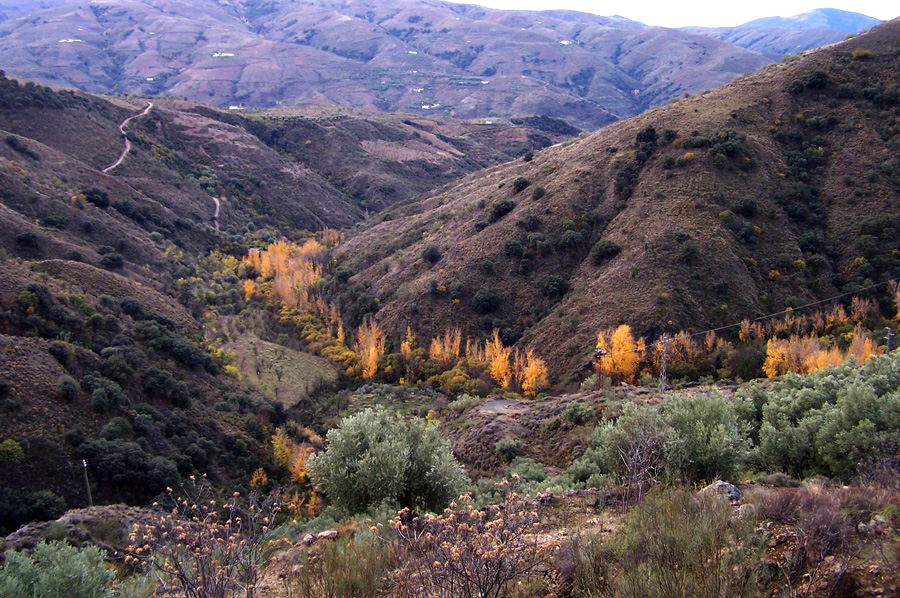La rambla y la confluencia del Barranco Hondo con el de la Alberquilla.