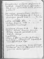 Cuaderno15